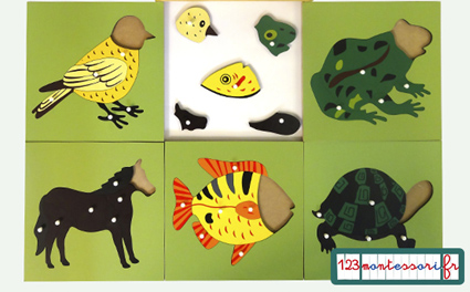 cabinet de zoologie