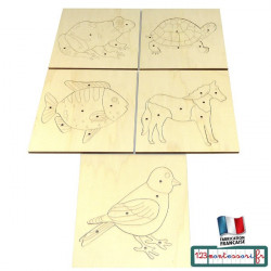Zoologie 5 puzzles Montessori d'animaux gravés