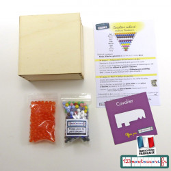 Petit Serpent de l'addition Montessori (perles et boite en kit)