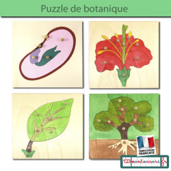 Puzzles de Botanique en...