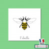 Nomenclatures de l'abeille