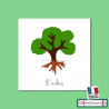 Nomenclatures de l'arbre
