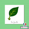 Nomenclatures de la feuille