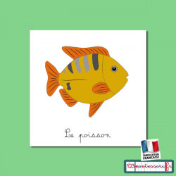 Nomenclatures du poisson
