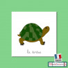 Nomenclatures de la tortue