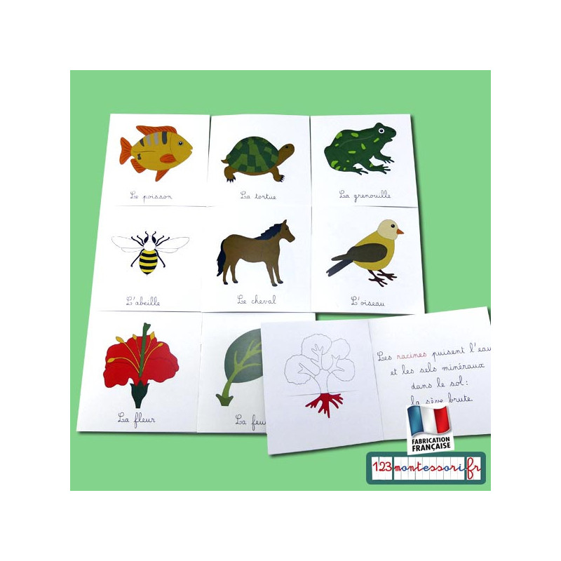 Lot complet des nomenclatures zoologie et botanique