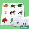 Lot complet des nomenclatures zoologie et botanique