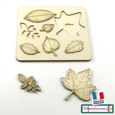Puzzle feuilles d'arbre