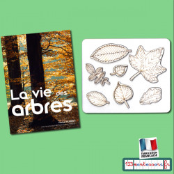 Puzzle feuilles d'arbre