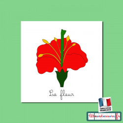 Nomenclatures de la fleur