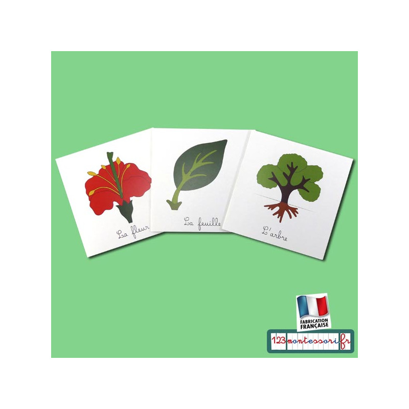 Lot nomenclatures botanique