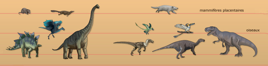 Découverte du monde